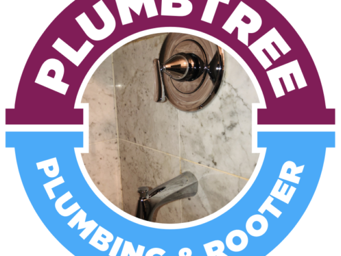 Clean shower in San Jose, CA