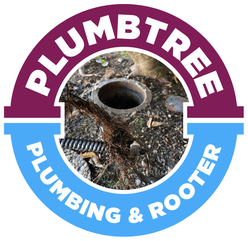 Sewer Repair & Replacement in San Jose, CA