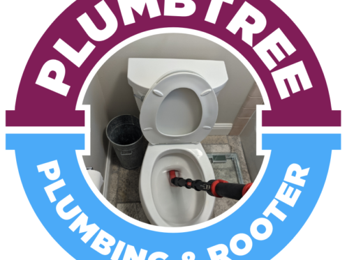 Toilet in San Jose, CA