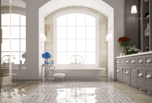 Plumbing Emergency in San Jose, CA